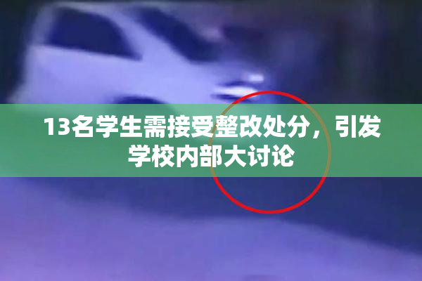 13名学生需接受整改处分，引发学校内部大讨论
