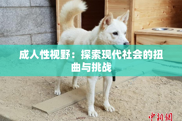 成人性视野：探索现代社会的扭曲与挑战