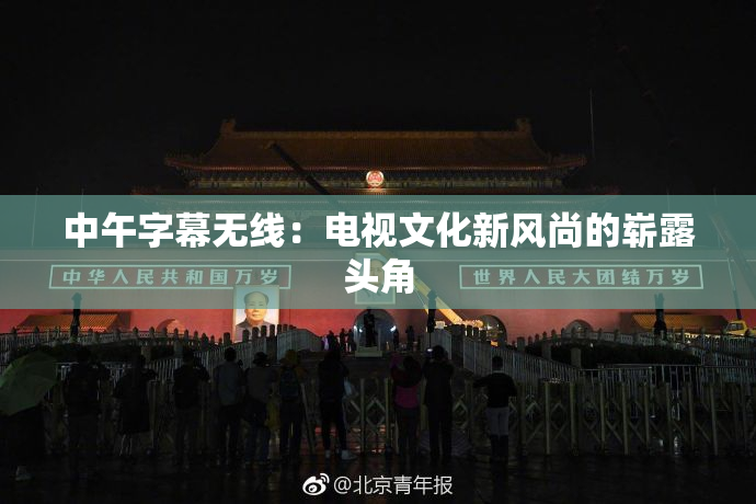 中午字幕无线：电视文化新风尚的崭露头角