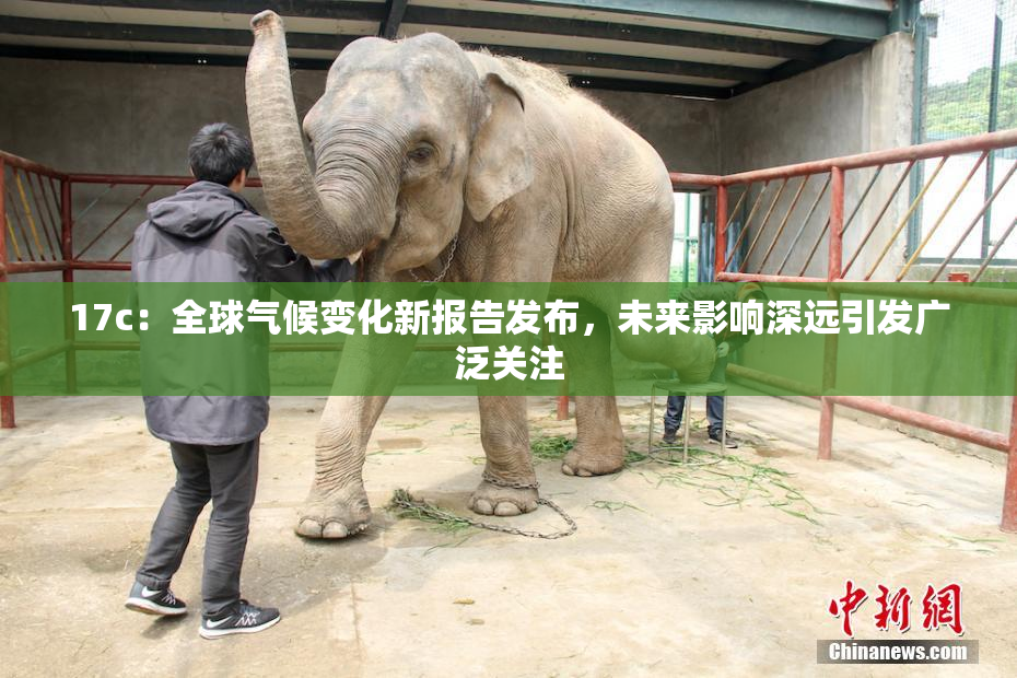 17c：全球气候变化新报告发布，未来影响深远引发广泛关注