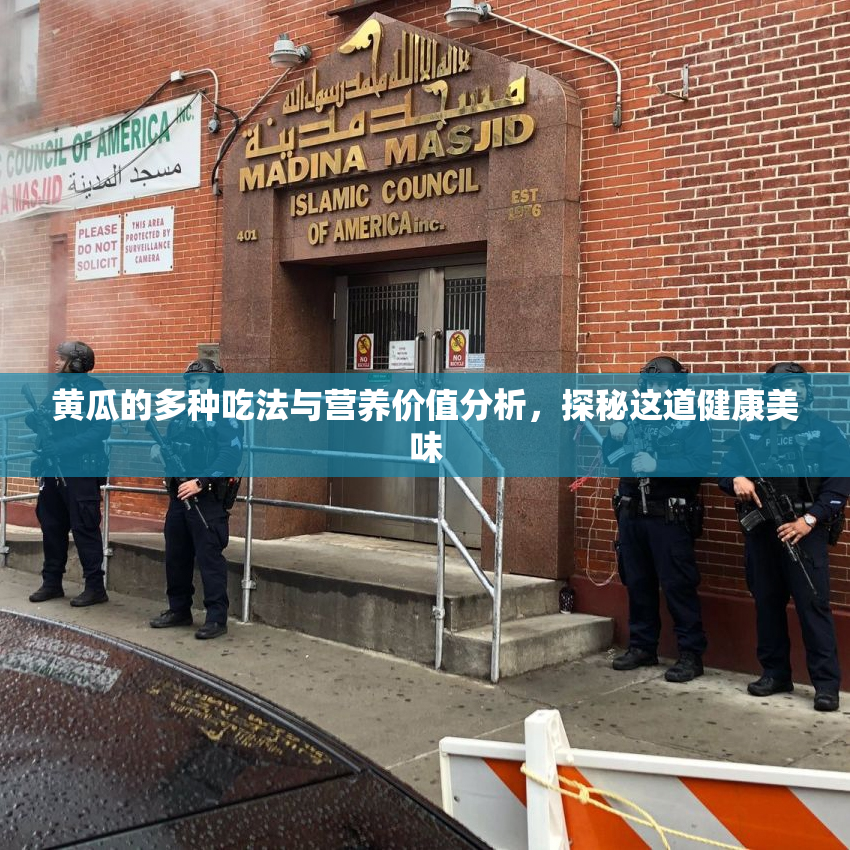黄瓜的多种吃法与营养价值分析，探秘这道健康美味