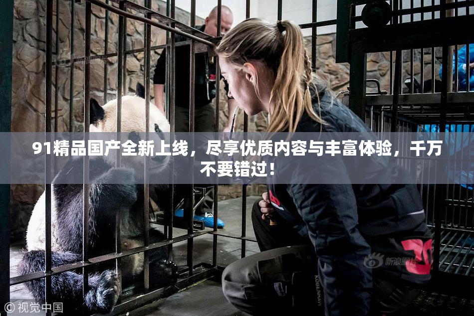 91精品国产全新上线，尽享优质内容与丰富体验，千万不要错过！