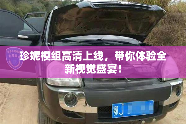 珍妮模组高清上线，带你体验全新视觉盛宴！