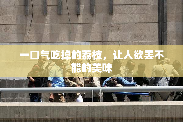 一口气吃掉的荔枝，让人欲罢不能的美味