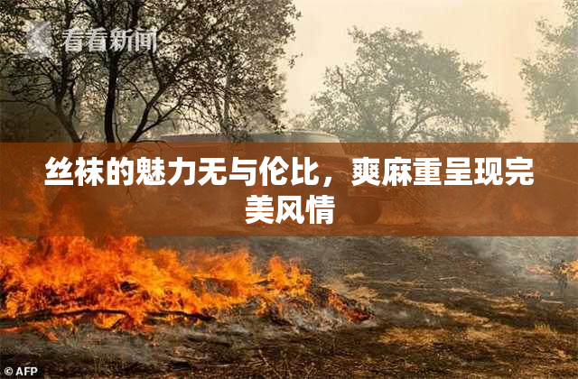 丝袜的魅力无与伦比，爽麻重呈现完美风情