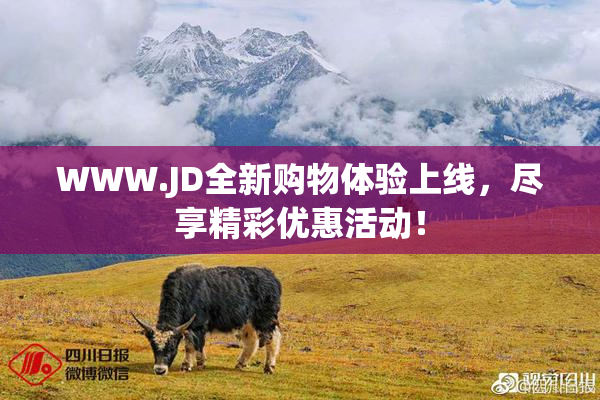 WWW.JD全新购物体验上线，尽享精彩优惠活动！