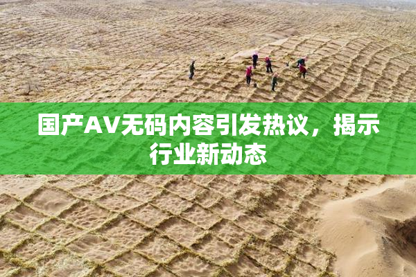 国产AV无码内容引发热议，揭示行业新动态