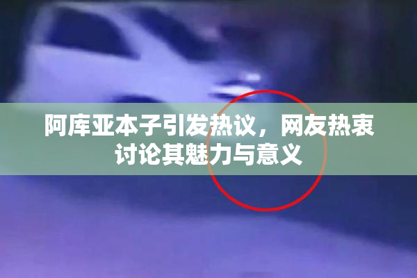 阿库亚本子引发热议，网友热衷讨论其魅力与意义