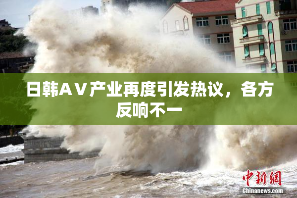 日韩AⅤ产业再度引发热议，各方反响不一