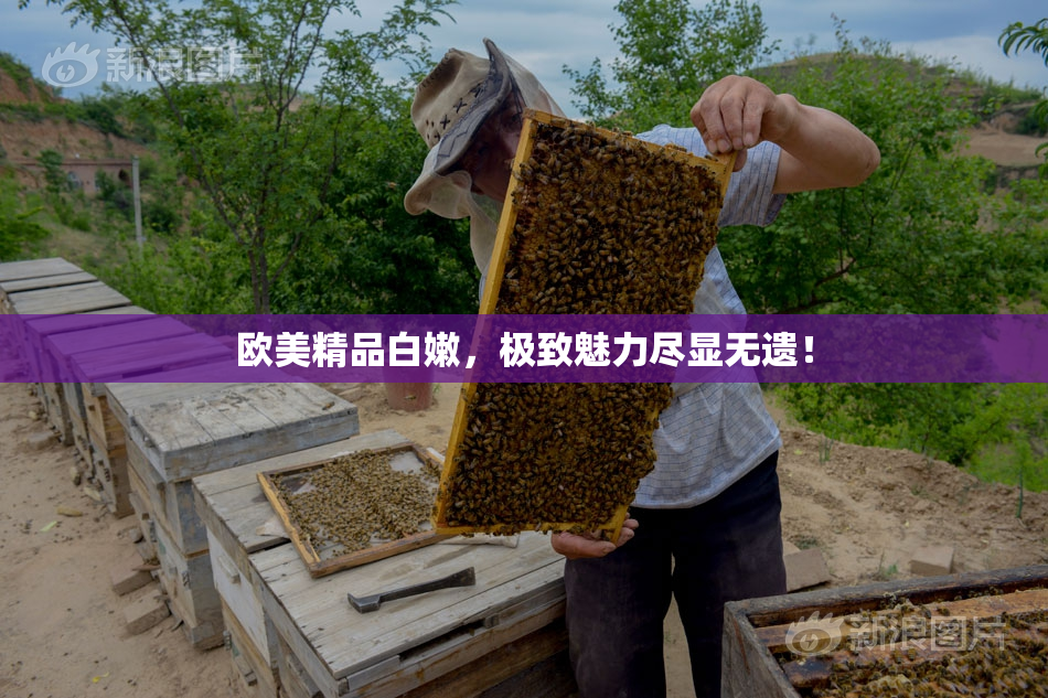 欧美精品白嫩，极致魅力尽显无遗！