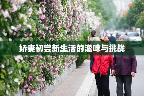 娇妻初尝新生活的滋味与挑战