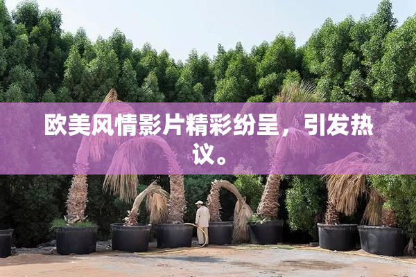 欧美风情影片精彩纷呈，引发热议。