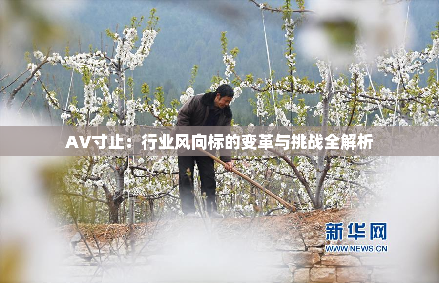AV寸止：行业风向标的变革与挑战全解析
