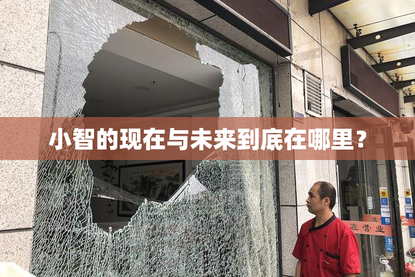 小智的现在与未来到底在哪里？