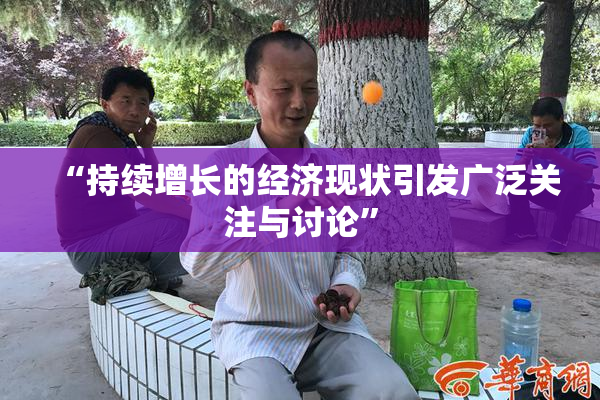 “持续增长的经济现状引发广泛关注与讨论”