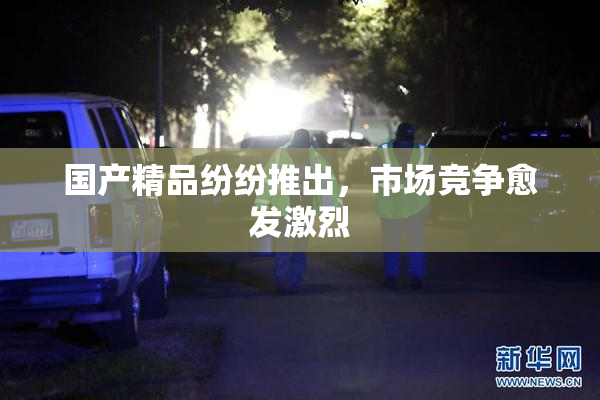 国产精品纷纷推出，市场竞争愈发激烈