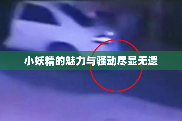 小妖精的魅力与骚动尽显无遗