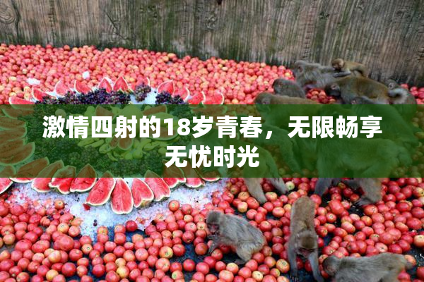 激情四射的18岁青春，无限畅享无忧时光