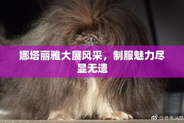 娜塔丽雅大展风采，制服魅力尽显无遗