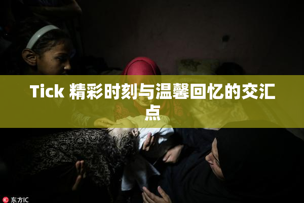 Tick 精彩时刻与温馨回忆的交汇点