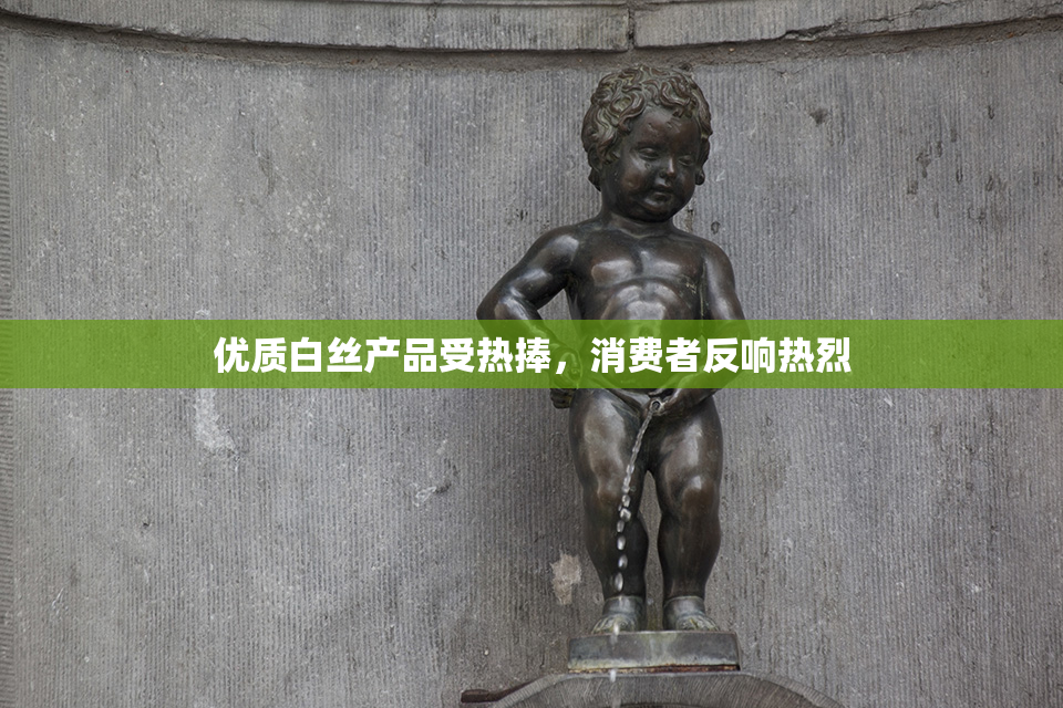 优质白丝产品受热捧，消费者反响热烈