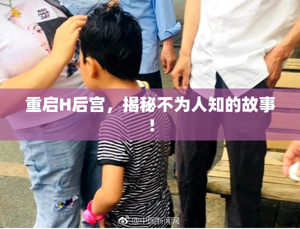 重启H后宫，揭秘不为人知的故事！