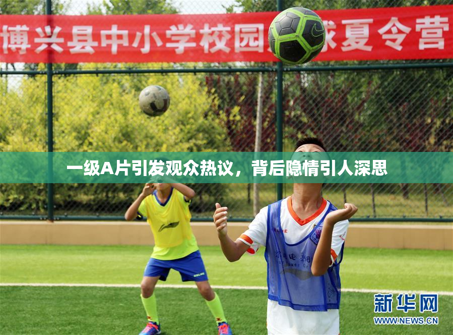一级A片引发观众热议，背后隐情引人深思
