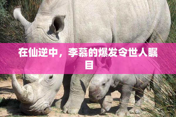 在仙逆中，李慕的爆发令世人瞩目