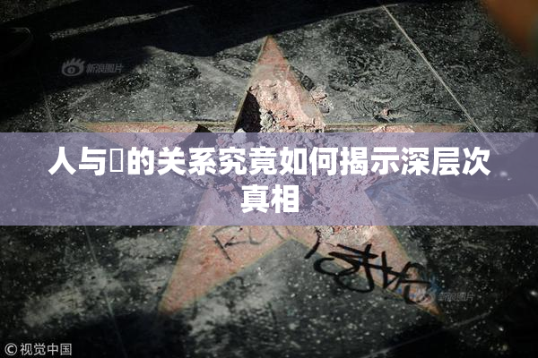 人与嘼的关系究竟如何揭示深层次真相