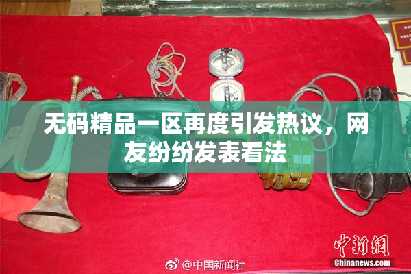 无码精品一区再度引发热议，网友纷纷发表看法