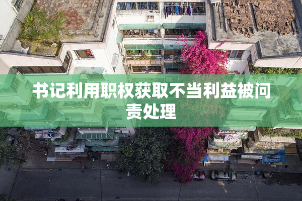 书记利用职权获取不当利益被问责处理