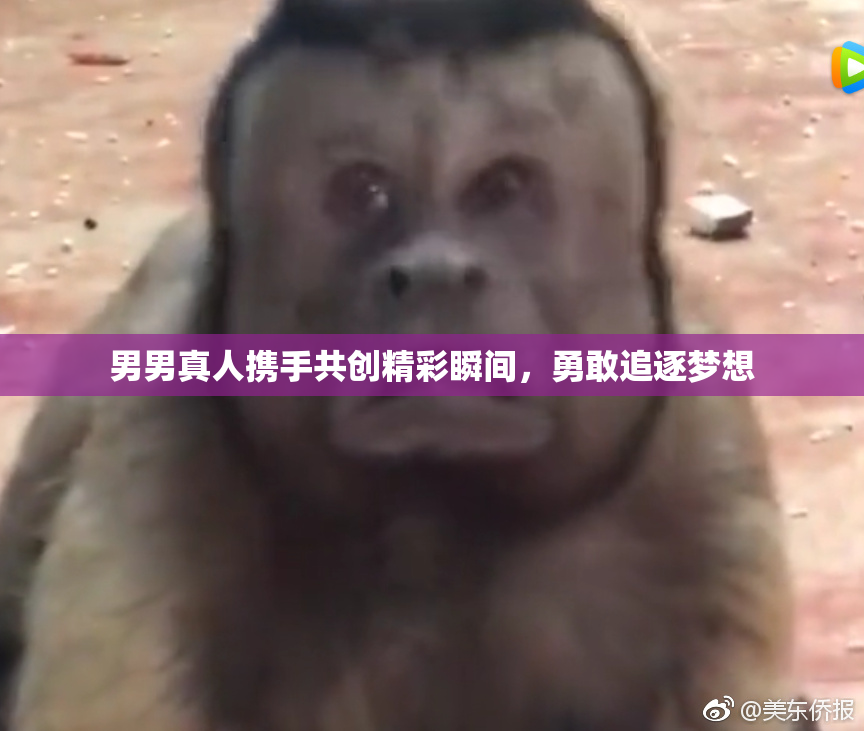 男男真人携手共创精彩瞬间，勇敢追逐梦想