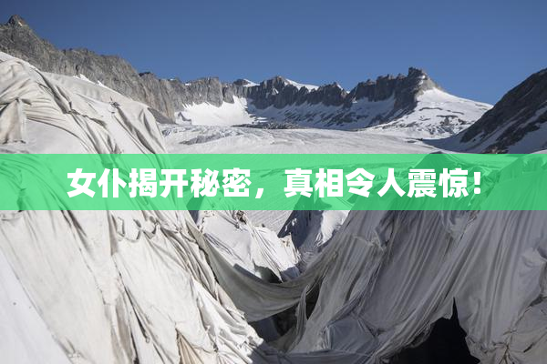 女仆揭开秘密，真相令人震惊！