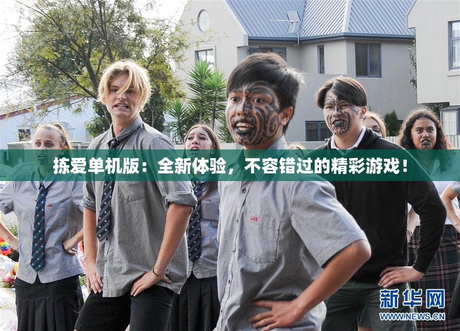 拣爱单机版：全新体验，不容错过的精彩游戏！