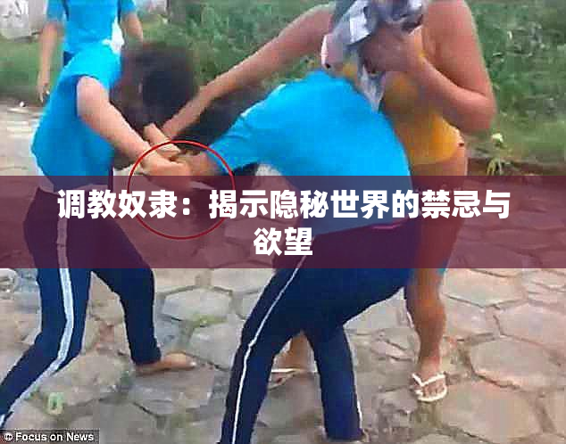 调教奴隶：揭示隐秘世界的禁忌与欲望