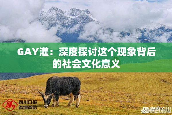 GAY灌：深度探讨这个现象背后的社会文化意义