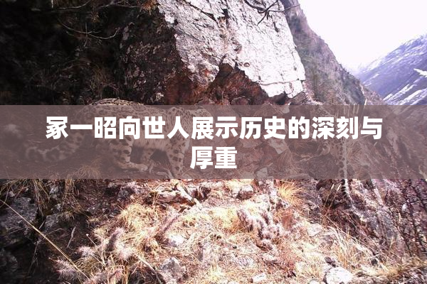 冢一昭向世人展示历史的深刻与厚重