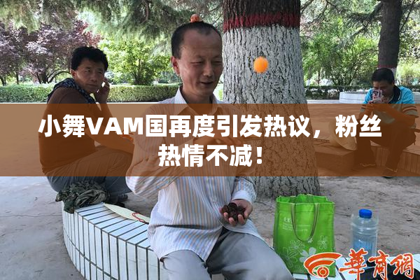 小舞VAM国再度引发热议，粉丝热情不减！