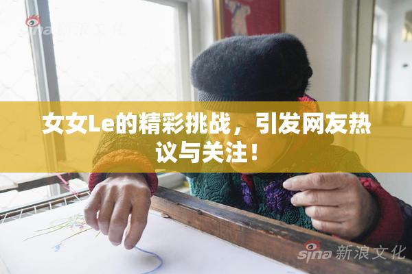 女女Le的精彩挑战，引发网友热议与关注！