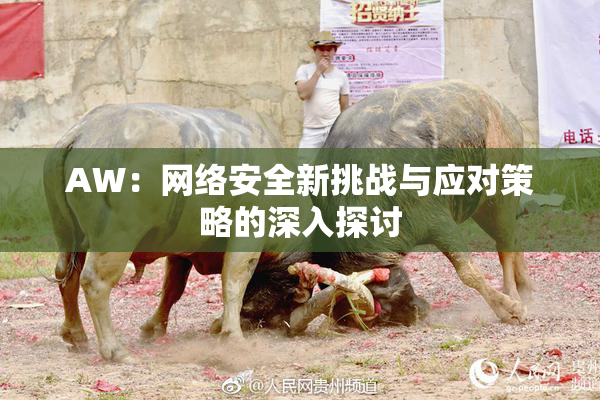 AW：网络安全新挑战与应对策略的深入探讨