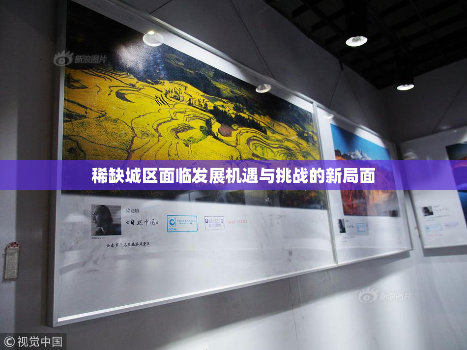 稀缺城区面临发展机遇与挑战的新局面