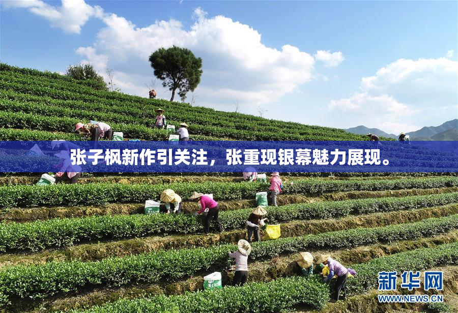 张子枫新作引关注，张重现银幕魅力展现。