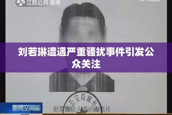 刘若琳遭遇严重骚扰事件引发公众关注