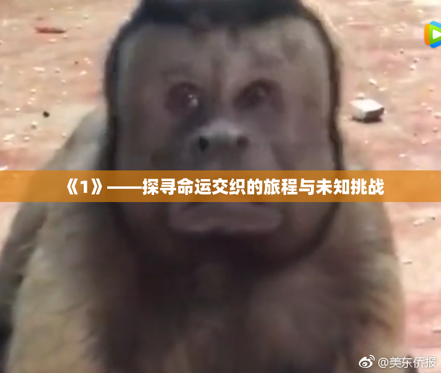 《1》——探寻命运交织的旅程与未知挑战