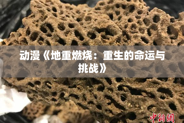 动漫《地重燃烧：重生的命运与挑战》
