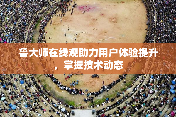 鲁大师在线观助力用户体验提升，掌握技术动态