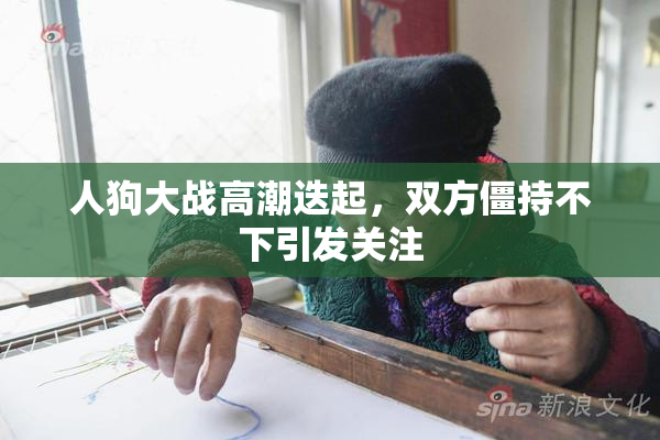 人狗大战高潮迭起，双方僵持不下引发关注
