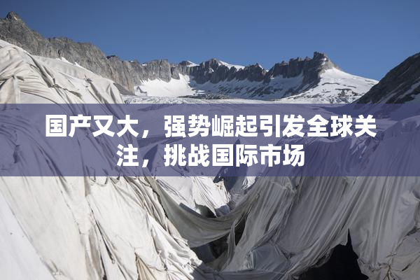 国产又大，强势崛起引发全球关注，挑战国际市场