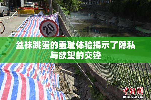 丝袜跳蛋的羞耻体验揭示了隐私与欲望的交锋