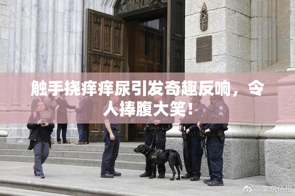 触手挠痒痒尿引发奇趣反响，令人捧腹大笑！
